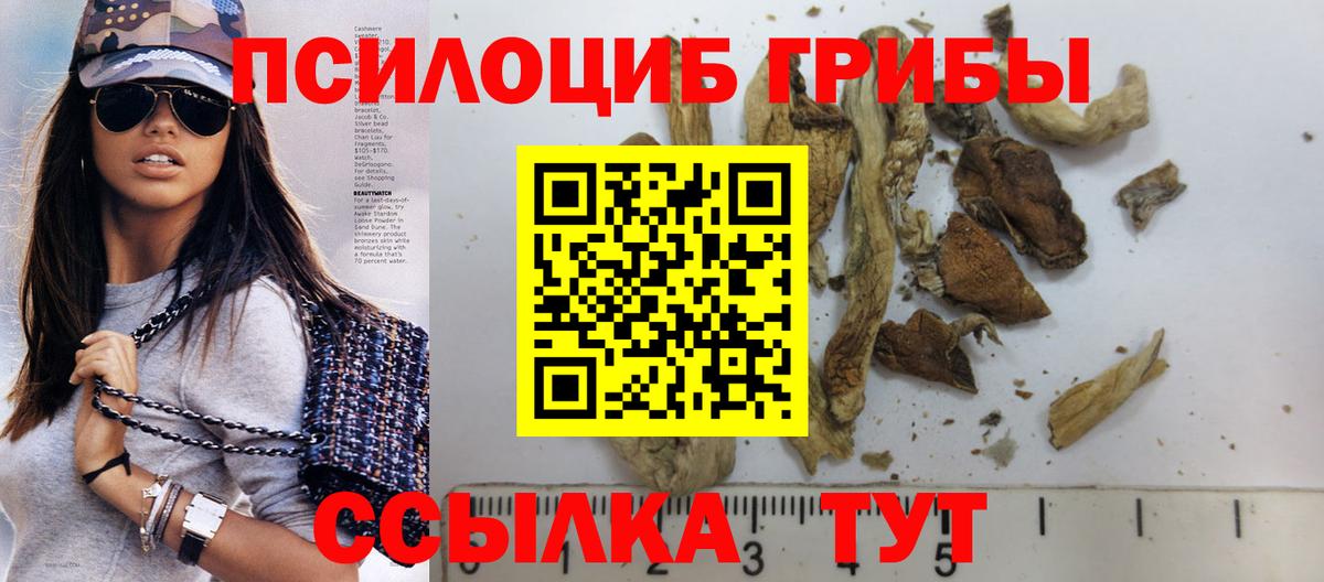 Псилоцибиновые грибы Magic Shrooms Чебоксары