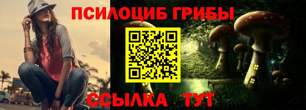 Чебоксары  Галлюциногенные грибы ЛСД  Вход с VPN 